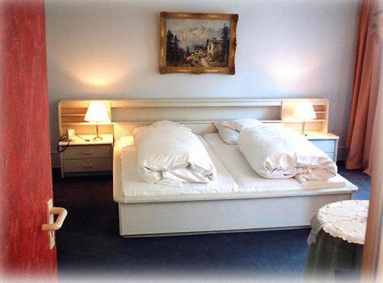 Malepartus Hotel Bad Schwalbach Quarto foto